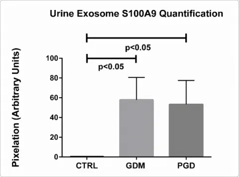 Quantification of S100A9 from immunoblots in A (control, n=3; GDM, n=3, PGD, n=3)